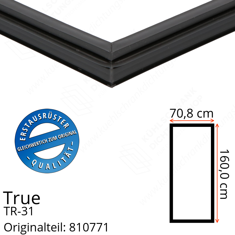 True TR-31 Türdichtung 160,0 x 70,8 cm (Profil schmal)