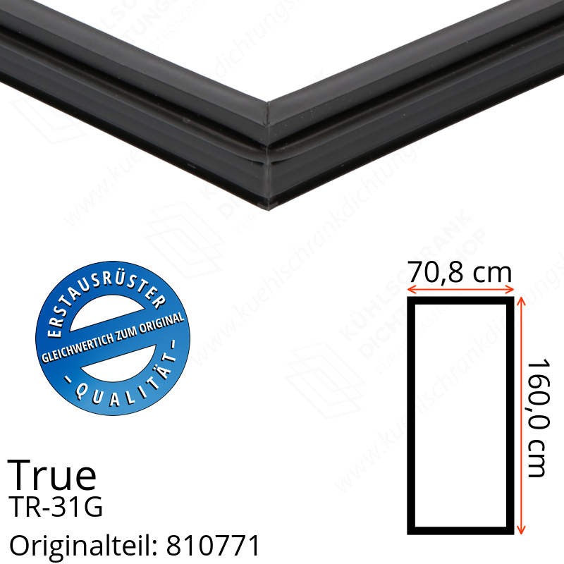 True TR-31G Türdichtung 160,0 x 70,8 cm (Profil schmal)