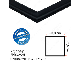 Foster EPRO2/2H Türdichtung 63,6 x 60,8 cm