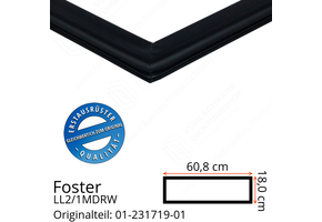 Foster LL2/1MDRW Schubladedichtung 18,0 x 60,8 cm