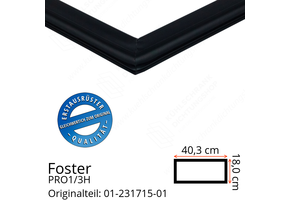 Foster PRO1/3H Schubladedichtung 18,0 x 40,3 cm