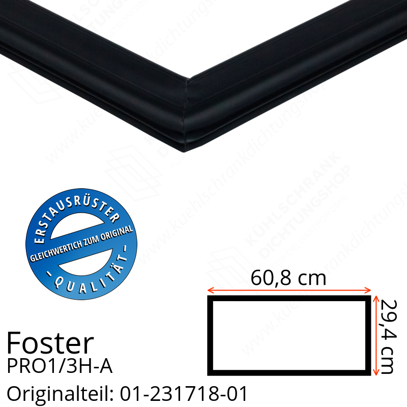 Foster PRO1/3H-A Schubladedichtung 29,4 x 60,8 cm