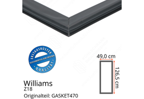 Williams Z18 Türdichtung 126,5 x 49,0 cm