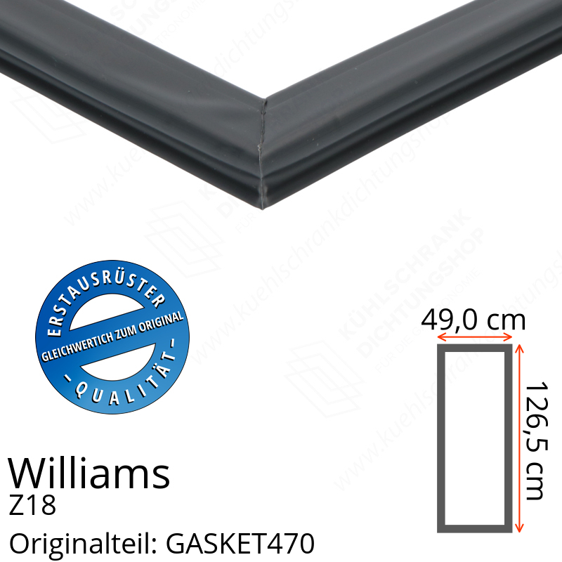 Williams Z18 Türdichtung 126,5 x 49,0 cm
