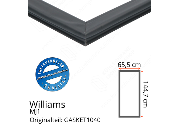 Williams MJ1 Türdichtung 144,7 x 65,5 cm