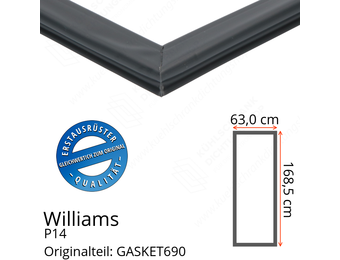 Williams P14 Türdichtung 168,5 x 63,0 cm