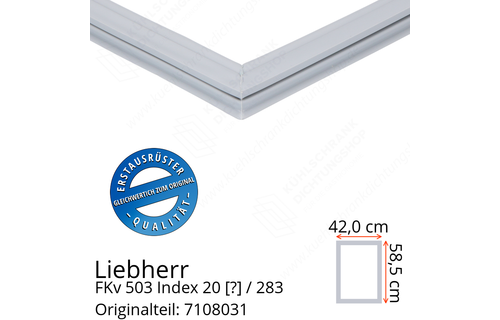Liebherr FKv 503 Index 20 / 283  Serie Türdichtung 58,5 x 42,0 cm