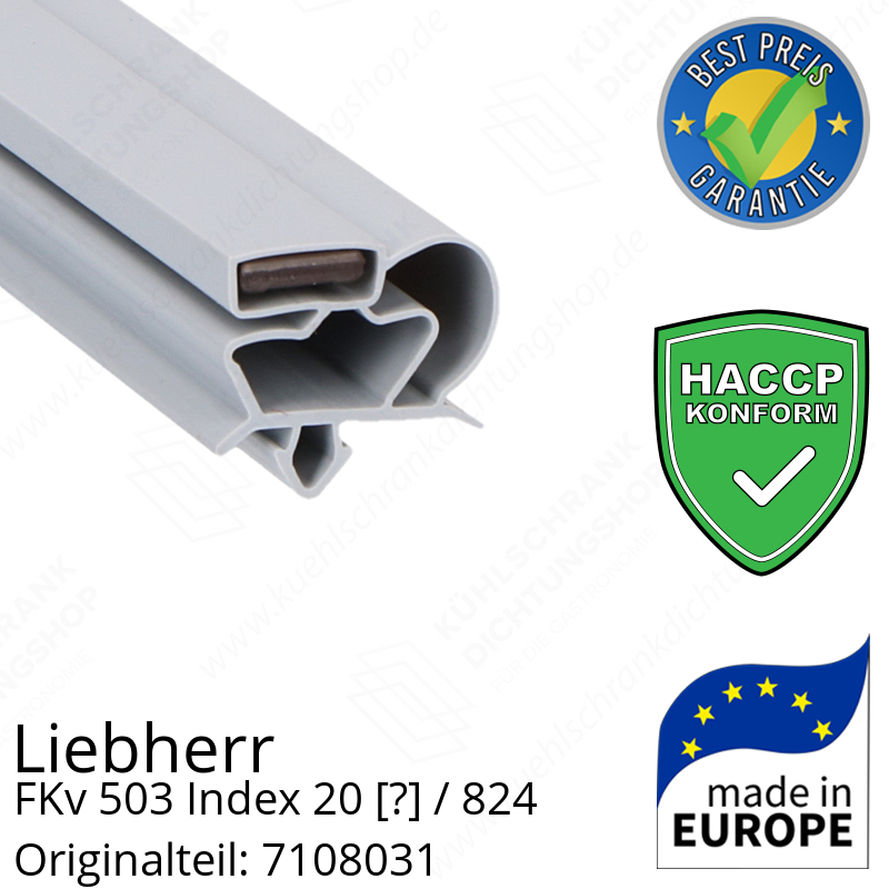 Liebherr FKv 503 Index 20 / 824  Serie Türdichtung 58,5 x 42,0 cm