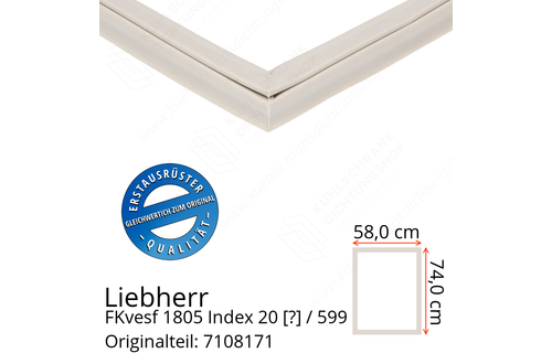 Liebherr FKvesf 1805 Index 20 / 599  Serie Türdichtung 74,0 x 58,0 cm