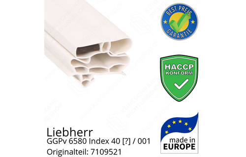 Liebherr GGPv 6580 Index 40 / 001  Serie Türdichtung 164,5 x 62,5 cm