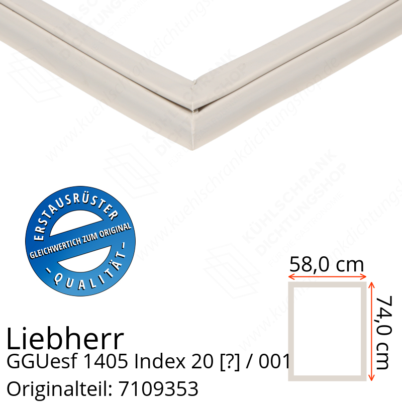 Liebherr GGUesf 1405 Index 20 / 001  Serie Türdichtung 74,0 x 58,0 cm