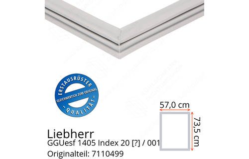 Liebherr GGUesf 1405 Index 20 / 001  Serie Türdichtung 73,5 x 57,0 cm