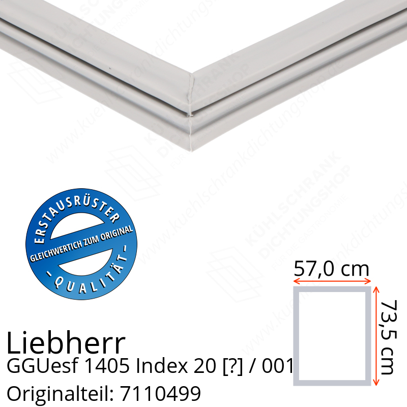 Liebherr GGUesf 1405 Index 20 / 001  Serie Türdichtung 73,5 x 57,0 cm