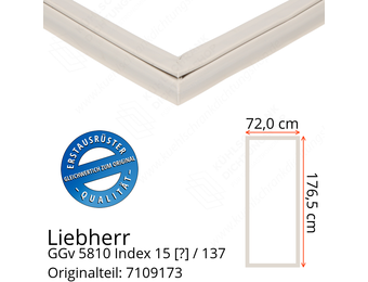 Liebherr GGv 5810 Index 15 / 137  Serie Türdichtung 176,5 x 72,0 cm