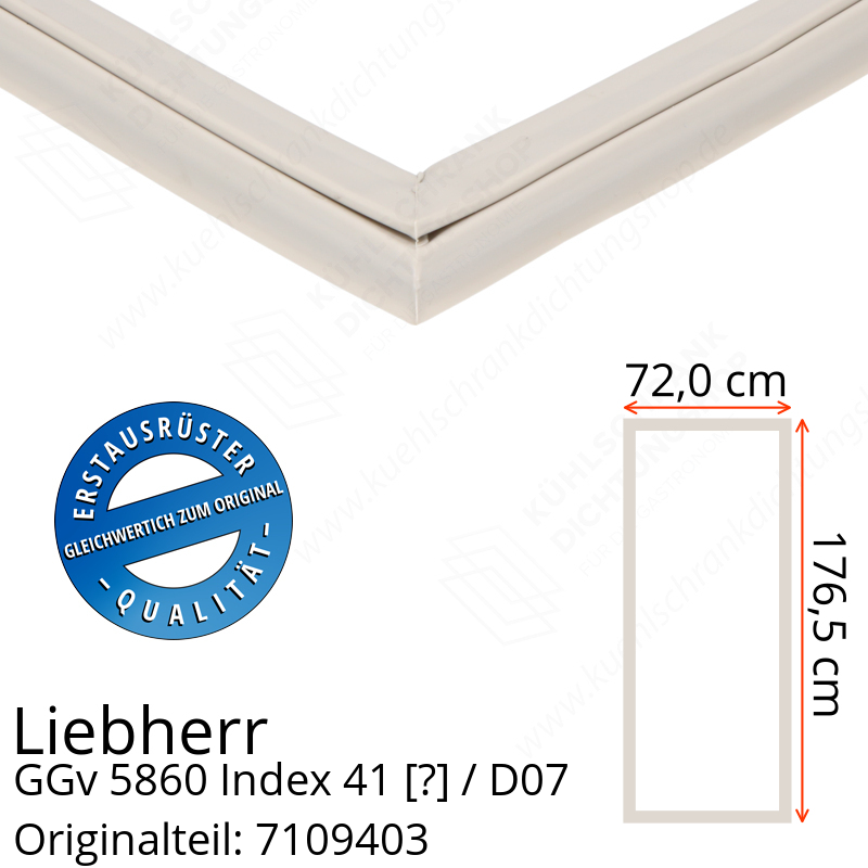 Liebherr GGv 5860 Index 41 / D07  Serie Türdichtung 176,5 x 72,0 cm