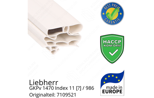 Liebherr GKPv 1470 Index 11 / 986  Serie Türdichtung 164,5 x 62,5 cm