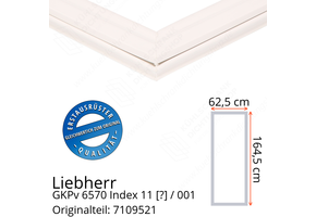 Liebherr GKPv 6570 Index 11 / 001 Serie Türdichtung 164,5 x 62,5 cm