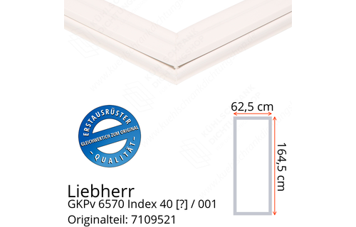 Liebherr GKPv 6570 Index 40 / 001  Serie Türdichtung 164,5 x 62,5 cm