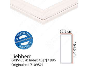 Liebherr GKPv 6570 Index 40 / 986  Serie Türdichtung 164,5 x 62,5 cm