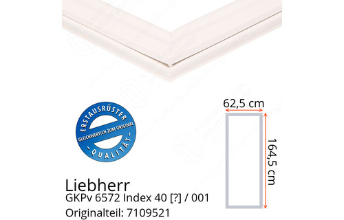 Liebherr GKPv 6572 Index 40 / 001  Serie Türdichtung 164,5 x 62,5 cm