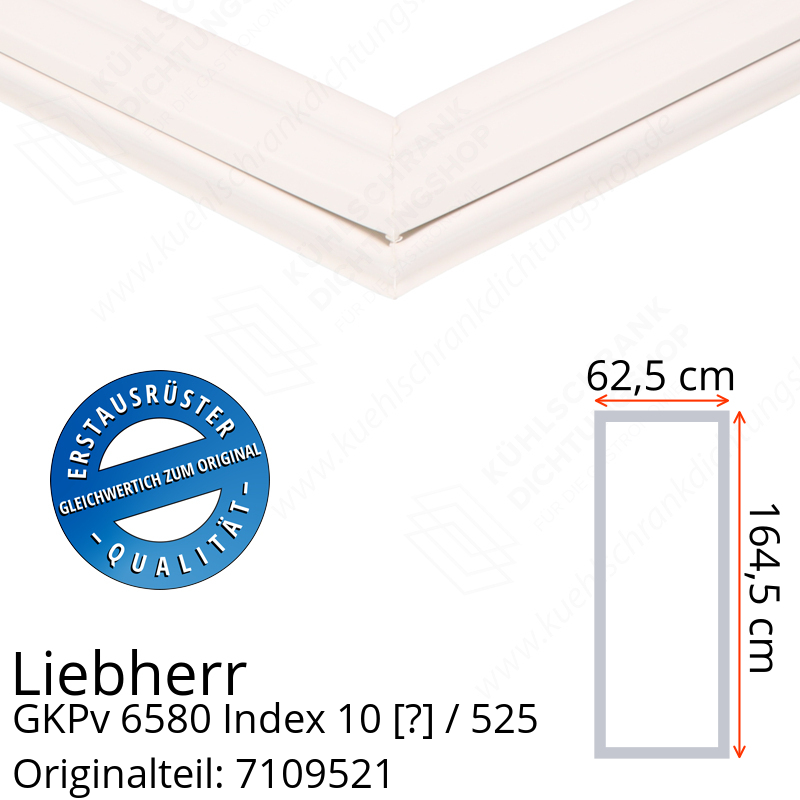 Liebherr GKPv 6580 Index 10 / 525  Serie Türdichtung 164,5 x 62,5 cm