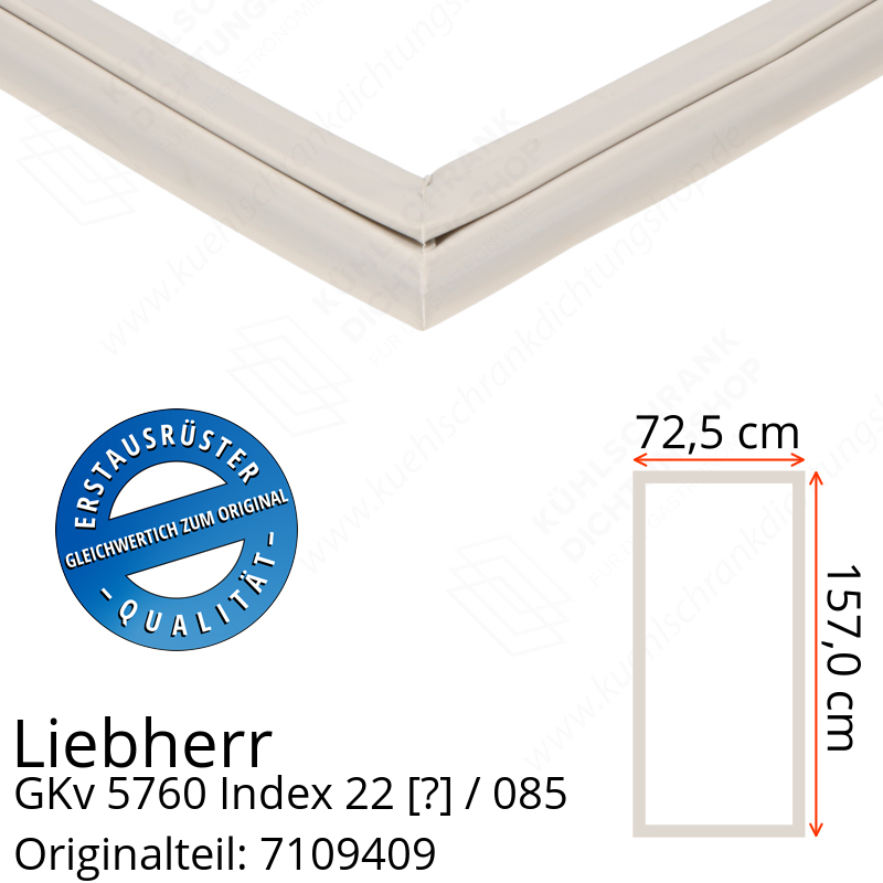 Liebherr GKv 5760 Index 22 / 085  Serie Türdichtung 157,0 x 72,5 cm