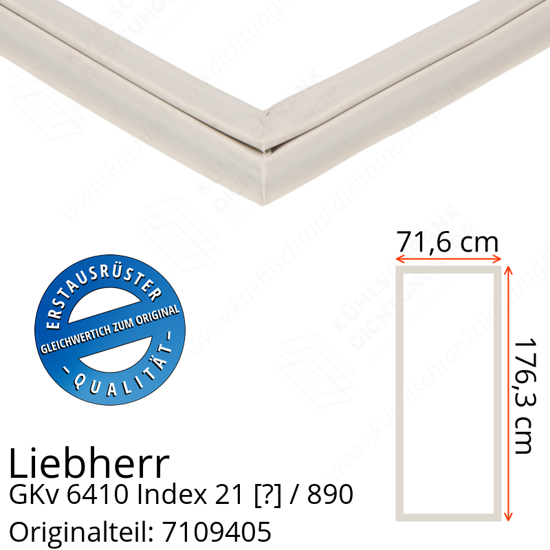 Liebherr GKv 6410 Index 21 / 890  Serie Türdichtung 176,3 x 71,6 cm