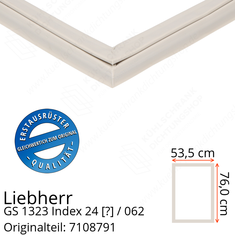 Liebherr GS 1323 Index 24 / 062  Serie Türdichtung 76,0 x 53,5 cm