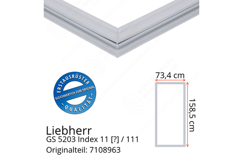 Liebherr GS 5203 Index 11 / 111  Serie Türdichtung 158,5 x 73,4 cm