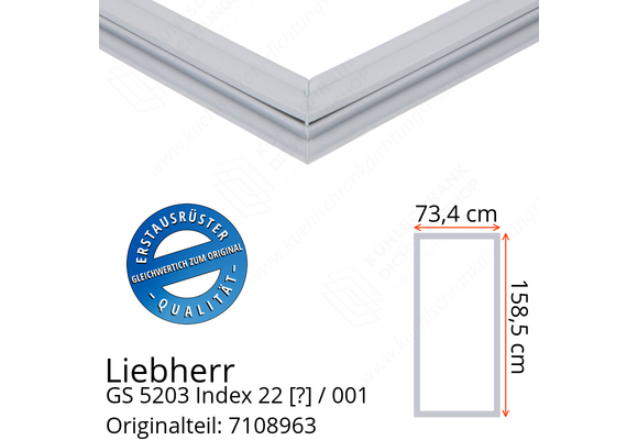 Liebherr GS 5203 Index 22 / 001  Serie Türdichtung 158,5 x 73,4 cm