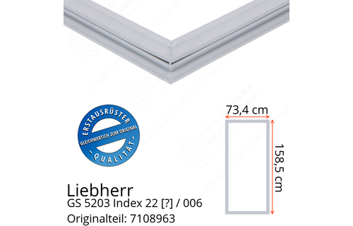 Liebherr GS 5203 Index 22 / 006  Serie Türdichtung 158,5 x 73,4 cm