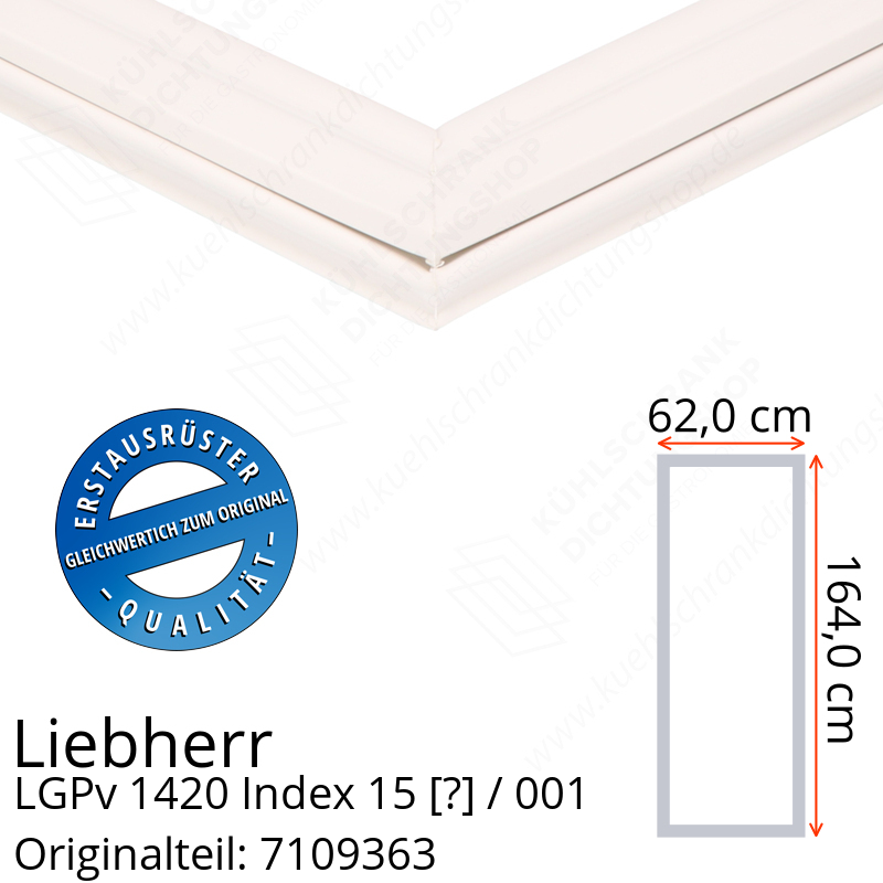 Liebherr LGPv 1420 Index 15 / 001  Serie Türdichtung 164,0 x 62,0 cm