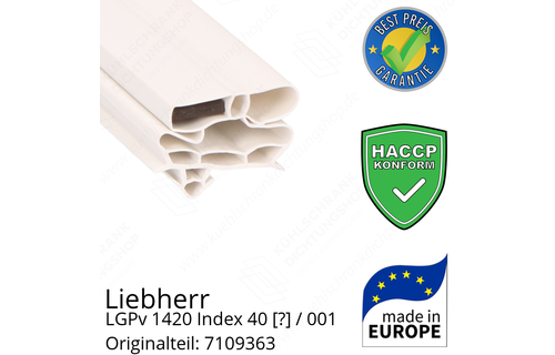 Liebherr LGPv 1420 Index 40 / 001  Serie Türdichtung 164,0 x 62,0 cm