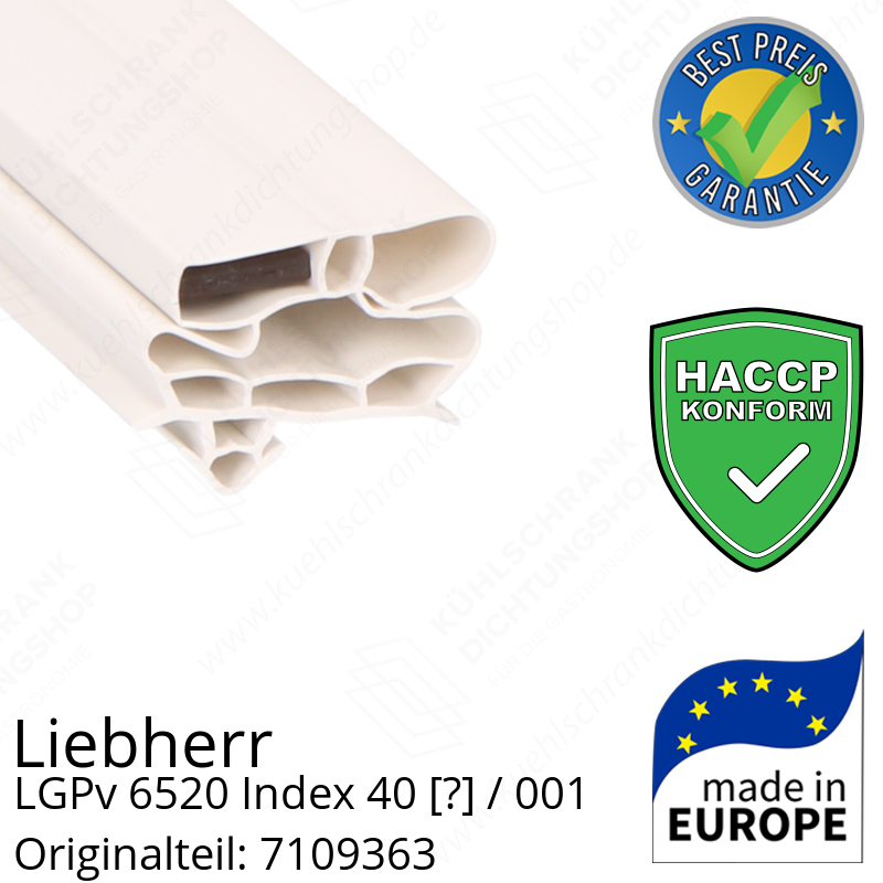 Liebherr LGPv 6520 Index 40 / 001  Serie Türdichtung 164,0 x 62,0 cm