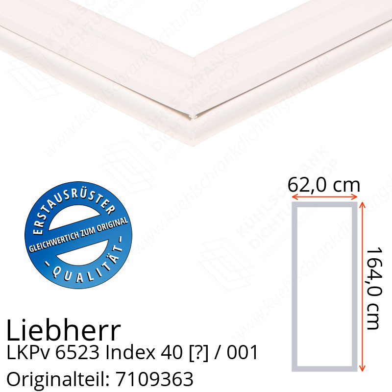 Liebherr LKPv 6523 Index 40 / 001  Serie Türdichtung 164,0 x 62,0 cm