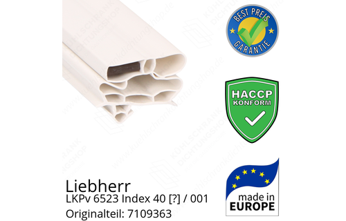 Liebherr LKPv 6523 Index 40 / 001  Serie Türdichtung 164,0 x 62,0 cm