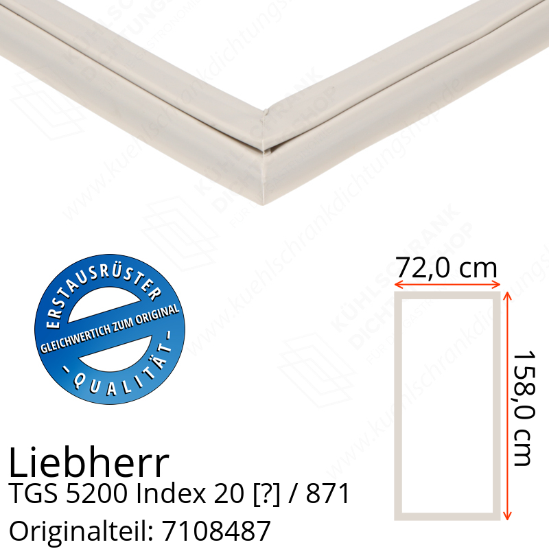 Liebherr TGS 5200 Index 20 / 871  Serie Türdichtung 158,0 x 72,0 cm