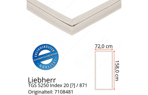 Liebherr TGS 5250 Index 20 / 871  Serie Türdichtung 158,0 x 72,0 cm