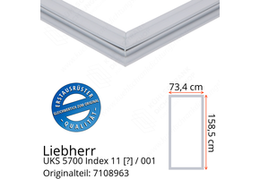 Liebherr UKS 5700 Index 11 / 001 Serie Türdichtung 158,5 x 73,4 cm