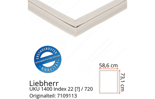 Liebherr UKU 1400 Index 22 / 720  Serie Türdichtung 73,1 x 58,6 cm
