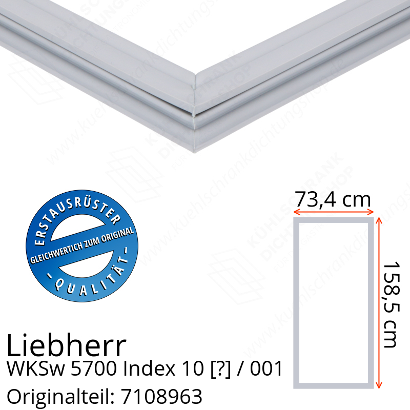 Liebherr WKSw 5700 Index 10 / 001  Serie Türdichtung 158,5 x 73,4 cm