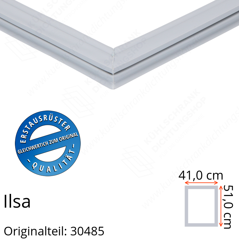 Ilsa Türdichtung 51,0 x 41,0 cm Ersatzteil: 30485 für verschiedene Modelle