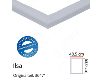 Ilsa Türdichtung 63,0 x 48,5 cm Ersatzteil: 36471 für verschiedene Modelle