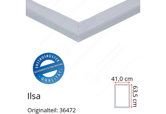 Ilsa Türdichtung 63,5 x 41,0 cm Ersatzteil: 36472 für verschiedene Modelle