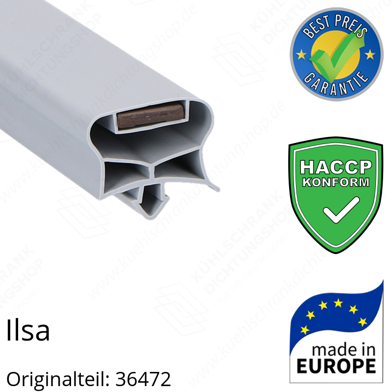 Ilsa Türdichtung 63,5 x 41,0 cm Ersatzteil: 36472 für verschiedene Modelle