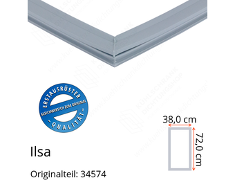Ilsa Türdichtung 72,0 x 38,0 cm Ersatzteil: 34574 für verschiedene Modelle