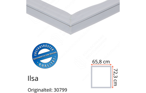 Ilsa Türdichtung 72,3 x 65,8 cm Ersatzteil: 30799 für verschiedene Modelle