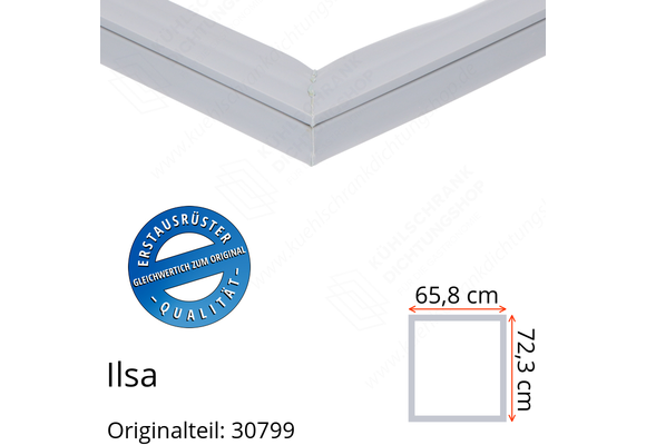 Ilsa Türdichtung 72,3 x 65,8 cm Ersatzteil: 30799 für verschiedene Modelle