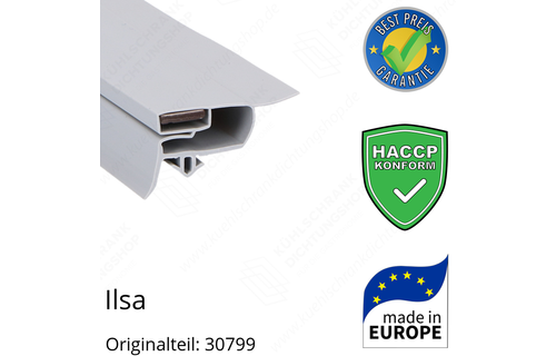 Ilsa Türdichtung 72,3 x 65,8 cm Ersatzteil: 30799 für verschiedene Modelle