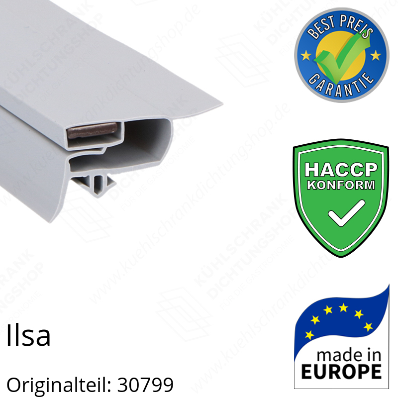 Ilsa Türdichtung 72,3 x 65,8 cm Ersatzteil: 30799 für verschiedene Modelle